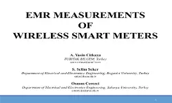 EMR Measurements of Wireless Smart Meters