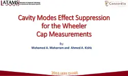 Cavity Modes Effect Suppression for the Wheeler Cap Measurements