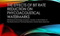 The Effects of Bit Rate Reduction on Psychoacoustical Watermarks Paper