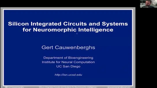 Silicon Integrated Circuits and Systems for Neuromorphic Intelligence