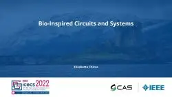 Bio-Inspired Circuits and Systems