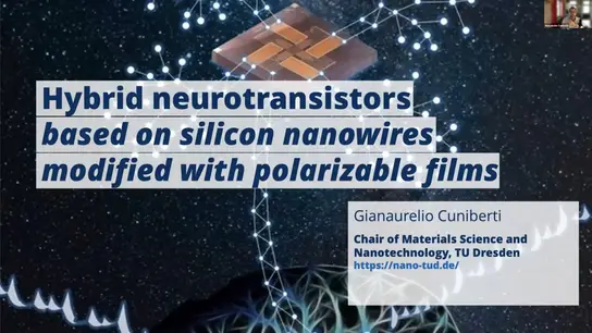 Hybrid neurotransistors based on silicon nanowires modified with polarizable films