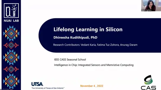 Lifelong Learning in Silicon