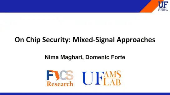 On Chip Security: Mixed-Signal Approaches