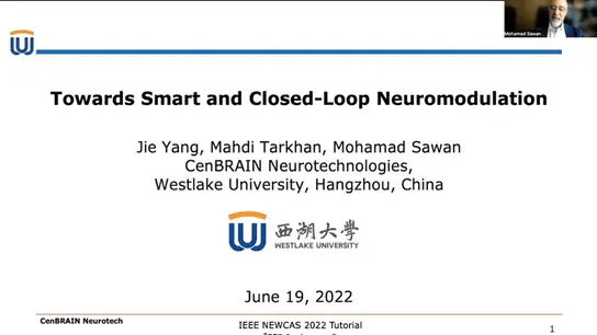 Towards Smart and Closed-Loop Neuromodulation