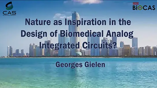 Designing analog integrated circuits: inspiration in nature or ...