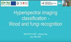 Hyperspectral Image Classification for Wood and Fungi Recognition