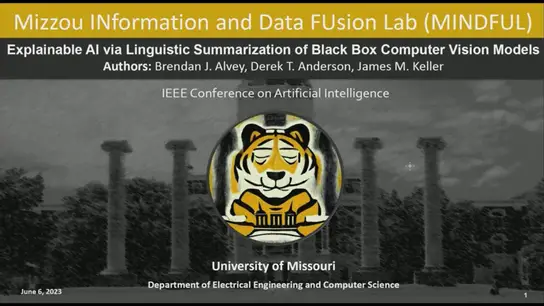 Explainable AI via Linguistic Summarization of Black Box Computer Vision Models