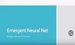 Emergent Neural Network in reinforcement learning
