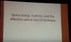 Spike Timing, Rhythms, and the Effective Use of Neural Hardware