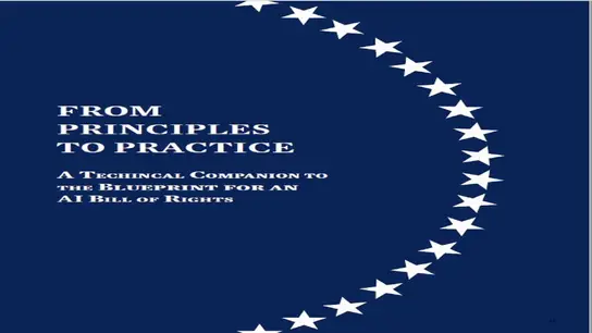 From Principles to Practice: A Technical Companion to the Blueprint for an AI Bill of Rights”