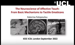 Keynote 1: The Neuroscience of Affective Touch:  From Basic Mechanisms to Tactile Emoticons