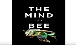 Keynote 5: The Mind of a Bee