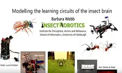 Keynote 6: Modeling the Learning Circuits of the Insect Brain