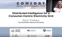 Distributed Intelligence for a Consumer-Centric Electricity Grid