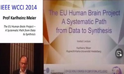 The EU Human Brain Project - A Systematic Path from Data to Synthesis