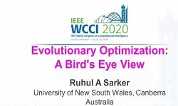 Evolutionary Optimization: A Bird''s Eye View