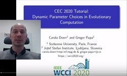 Tutorial: Dynamic Parameter Choices in Evolutionary Computation