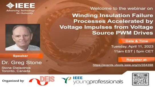 Winding Insulation Failure Processes Accelerated by Voltage Impulses from Voltage Source PWM Drives 