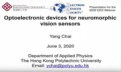 Optoelectronic Devices for Neuromorphic Vision Sensors