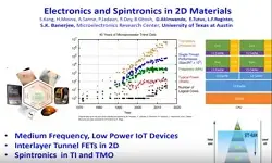 Electronics and Spintronics in 2D Materials