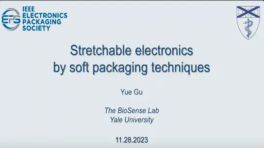 Stretchable Electronics by Soft Packaging Techniques 