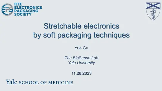 Stretchable Electronics by Soft Packaging Techniques 