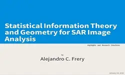 Statistical Information Theory and Geometry of SAR Image Analysis