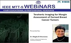 Terahertz Imaging for Margin Assessment of Excised Breast Cancer Tumors Slides