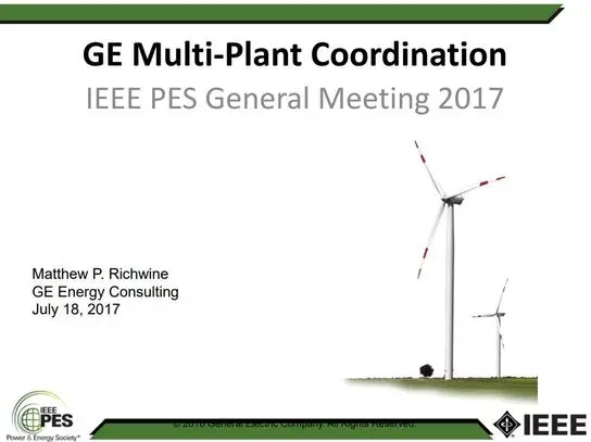 Advanced Interconnection Features of Transmission-connected Renewable Power Plants