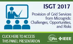 Provision of Grid Services from Microgrids: Challenges, Opportunities, and Risks