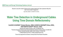Water Tree Detection in Underground Cables Using Time Domain Reflectometry