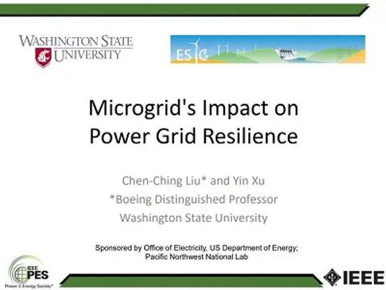 Power Grid Resilience: Fast Recovery from Extreme Events