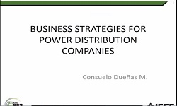 Business Strategies for Power Distribution Companies (Spanish version)