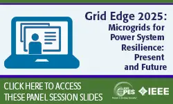 Microgrids for Power System Resilience: Present and Future