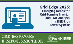 Emerging Needs for Grid-Forming Inverter and EMT Analysis in DER-Rich Power Systems