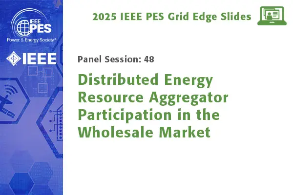 Distributed Energy Resource Aggregator Participation in the Wholesale Market