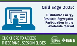 Distributed Energy Resource Aggregator Participation in the Wholesale Market