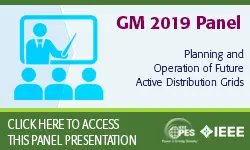 2019 IEEE General Meeting Panel Presentation: Planning and Operation of Future Active Distribution Grids