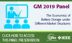 2019 IEEE General Meeting Panel Presentation: The Economics of Battery Storage under Different Market Structures