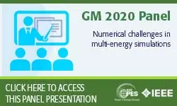 2020 PES GM 8/6 Panel Session: Numerical challenges in multi-energy simulations