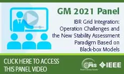 IBR Grid Integration: Operation Challenges and the New Stability Assessment Paradigm Based on Black-box Models