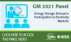 Energy Storage Resource Participation in Electricity Markets