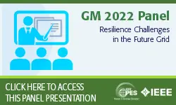 Resilience Challenges in the Future Grid