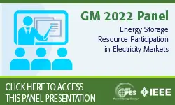 Energy Storage Resource Participation in Electricity Markets