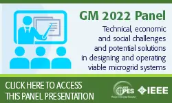 Technical, economic and social challenges and potential solutions in designing and operating viable microgrid systems