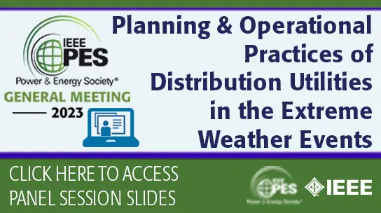 Planning and Operational Practices of Distribution Utilities in the Extreme Weather Events