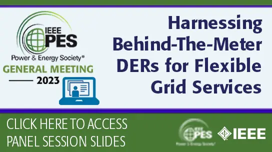 Harnessing Behind-The-Meter DERs for Flexible Grid Services