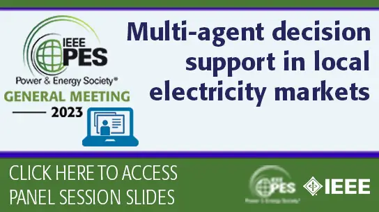 Multi-agent decision support in local electricity markets