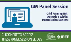 Grid Forming IBR Operation Within Transmission Systems